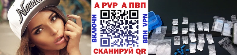Альфа ПВП СК КРИС  Кириши 