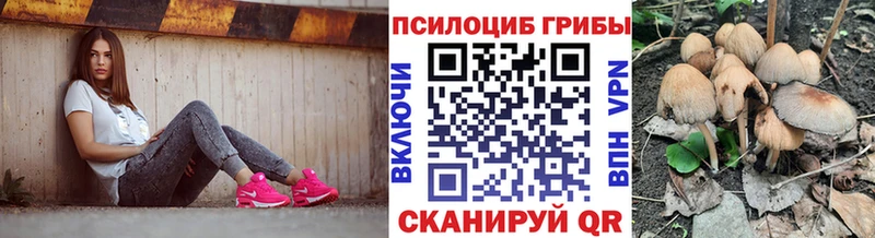 Псилоцибиновые грибы мицелий  Кириши 
