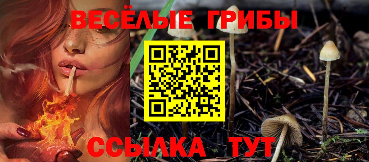 Кириши  продажа наркотиков  Вход с VPN  Псилоцибиновые грибы мухоморы 