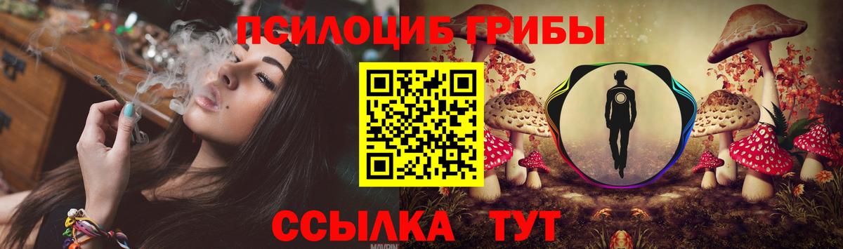 Псилоцибиновые грибы прущие грибы Кириши